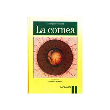 La cornea