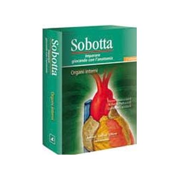 Sobotta - Organi Interni -Imparare giocando con l’anatomia (SCHEDE) 4/ed.