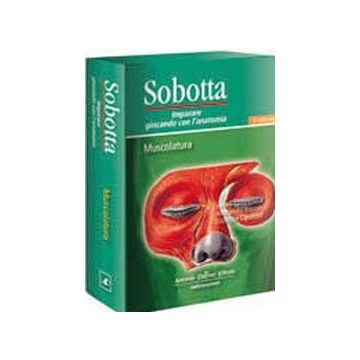 Sobotta - Muscolatura -Imparare giocando con  l’anatomia (SCHEDE) 4/ed.
