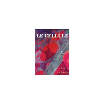 Le cellule