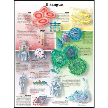 POSTER - Il sangue (In carta)