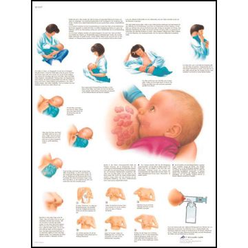 POSTER - Allattamento (Laminata)