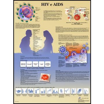 POSTER - HIV e AIDS (In carta)