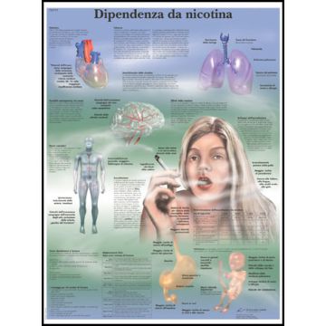 POSTER - Dipendenza da nicotina (In carta)