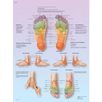 POSTER - Riflessologia Plantare (Laminata)