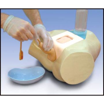 ASSISTENZA AL MALATO - Simulatore per cateterizzazione, per lo studio clinico Cateterizzazione transuretrale e sovrapubica nell'uomo