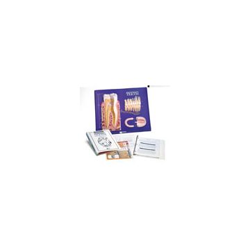 Set per l’insegnamento: Denti