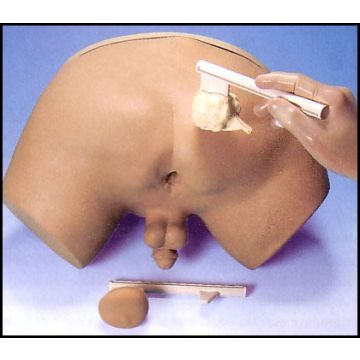 ESAME MEDICO E AUTOESAME - Simulatore per esame della prostata