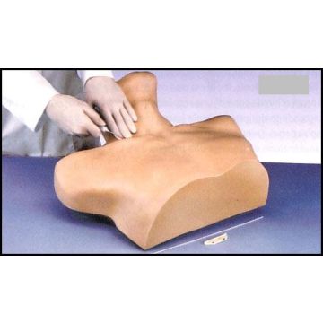 ESAME MEDICO E AUTOESAME - Iniezione e Punzione - Simulatore per catetere venoso