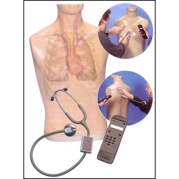 ESAME MEDICO E AUTOESAME - Auscultazione - Modello per esercitare l'auscultazione e SmartScope