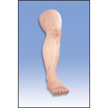 Chirurgia - Gamba per esercitare suture chirurgiche. Esame medico e Autoesame