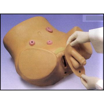 ASSISTENZA AL MALATO - Simulatore per cateterismo e stoma,maschile e femminile