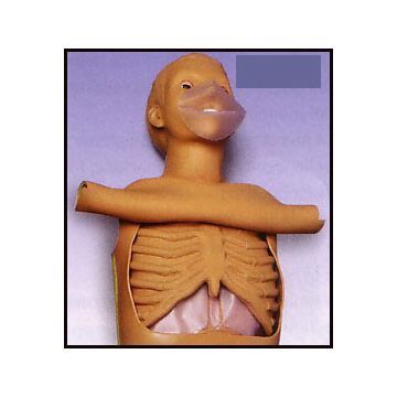 RIANIMAZIONE SOCCORSO - Torso per rianimazione