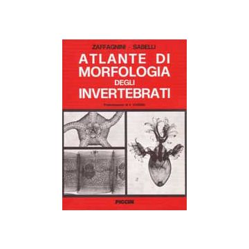 Atlante di Morfologia degli Invertebrati
