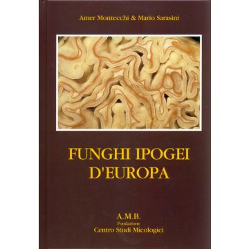 Funghi Ipogei d'Europa [Amer Montecchi; Mario Sarasini - Associazione Micologica Bresadola]