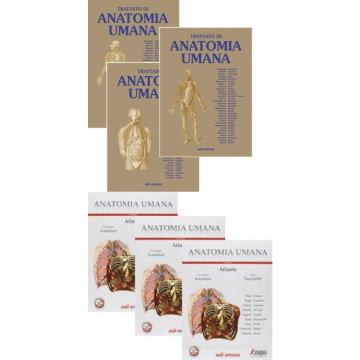 Trattato di Anatomia Umana 4/ed. Voll. 1/3 + Atlante Anatomia Umana voll.1/3 + Cofanetto  [Anastasi - Edi Ermes]