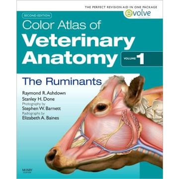 Color Atlas of Veterinary Anatomy, Volume 1, The Ruminants, 2nd Edition