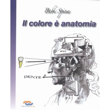 Il colore è anatomia