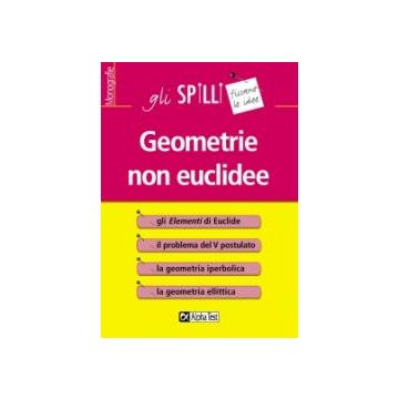 Geometrie non euclidee - Gli SPILLI [Alpha test]