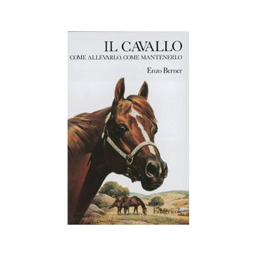 Il cavallo. Come allevarlo, come mantenerlo. Berner Enzo. 1/Ed. [Berner E. - Edagricole]