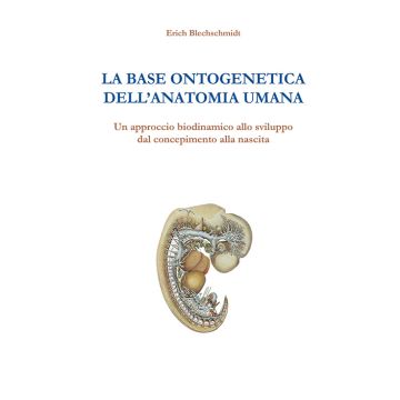 La Base Ontogenetica dell'Anatomia Umana. Un approccio biodinamico allo sviluppo dal concepimento alla nascita  [Blechschmidt - Futura Publishing Society Editore]