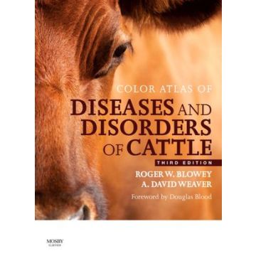 Color Atlas of Diseases and Disorders of Cattle, 3rd Edition  [Blowey  - Elsevier Science]