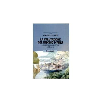 La Valutazione Del Rischio D'area. Il Caso Dell'area Industriale Di Mantova  - Marsili - Franco Angeli - 9788846420541