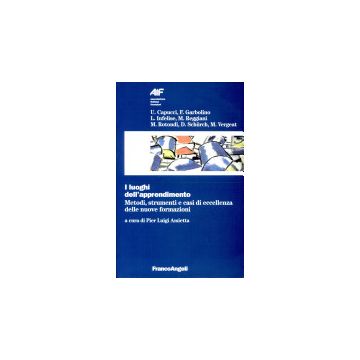 I Luoghi Dell'apprendimento. Metodi, Strumenti E Casi Di Eccellenza Delle Nuove Formazioni - Cappucci; Garbolino; Infelise; Reggiani; Rotondi; Schurch; Vergeat - Franco Angeli - 9788846420909