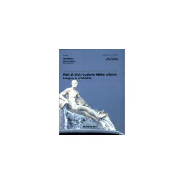 Reti Di Distribuzione Idrica Urbana. Indagine Di Affidabilita' - Bizzarri; Di Federico; Di Federico; Mazzacane - Franco Angeli - 9788846422774