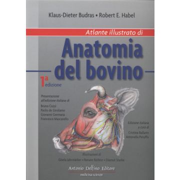 Atlante illustrato di Anatomia del Bovino 