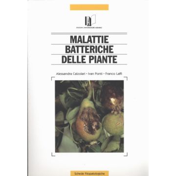MALATTIE BATTERICHE DELLE PIANTE ALESSANDRA CALZOLARI IVAN PONTI INFORMATORE AGRARIO