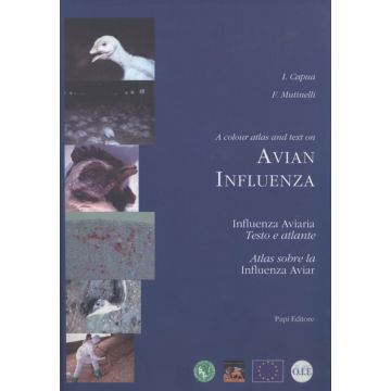 Influenza Aviaria - Testo Atlante (Avian Influenza)   [Capua - Papi Editore]