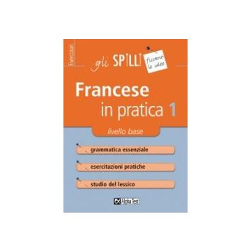 Francese in pratica 1 - Gli SPILLI [Alpha test]