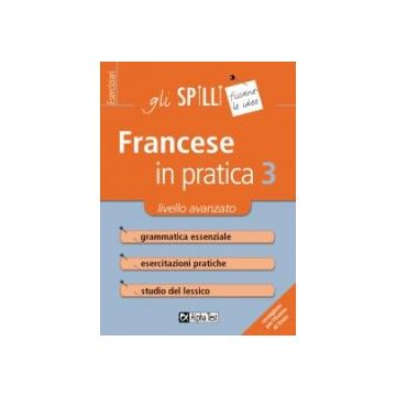 Francese in pratica 3 - Gli SPILLI [Alpha test]