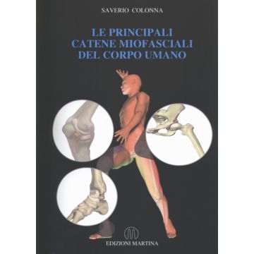Le principali catene miofasciali del corpo umano - TAVOLE   [Colonna - Martina Edizioni]