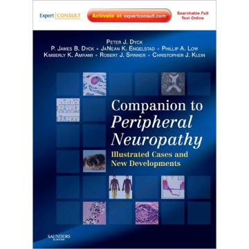 Companion to Peripheral Neuropathy Illustrated Cases and New Developments