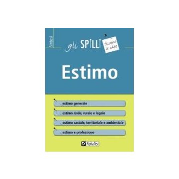 Estimo  - Gli SPILLI [Alpha test]