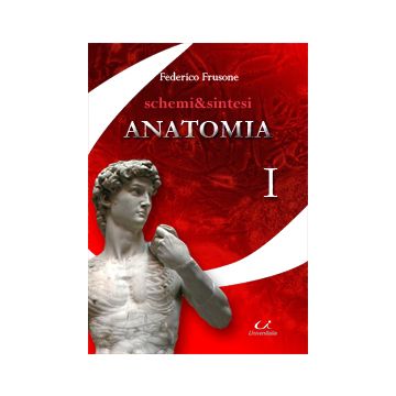 Anatomia  -  Schemi e Sintesi