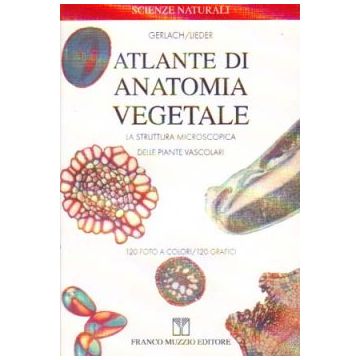 Atlante di anatomia vegetale - La struttura microscopica delle piante vascolari   [Gerlach  - Muzzio Editore] (V.E)