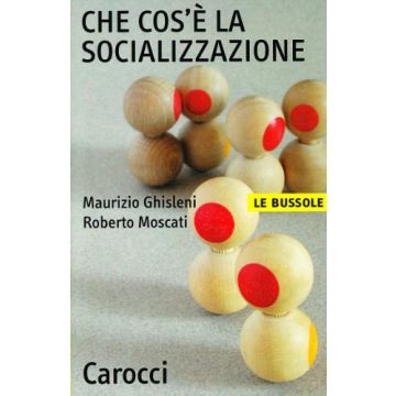 Che cos'è la socializzazione