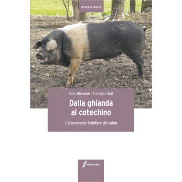 DALLA GHIANDA AL COTECHINO. L'allevamento familiare del suino 1/ed. [Giannone - Edagricole - Il Sole 24 Ore]