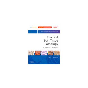 Practical Soft Tissue Pathology: A Diagnostic Approach - A Volume in the Pattern Recognition Series (Expert Consult: Online and Print)    [Hornick - Elsevier Science]