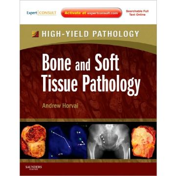 Bone and Soft Tissue Pathology - A VOLUME IN THE HIGH YIELD PATHOLOGY SERIES (EXPERT CONSULT - ONLINE AND PRINT)   [Horvai  - Elsevier Science]