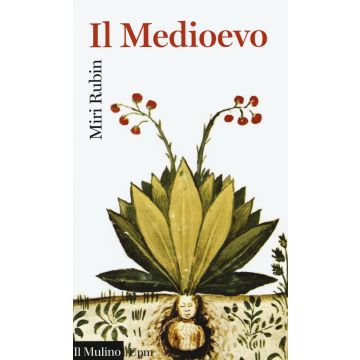 Il Medioevo