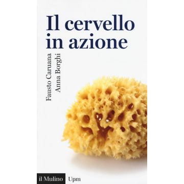 Il cervello in azione
