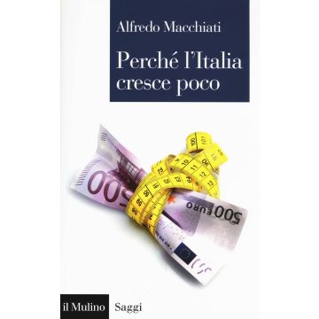 Perché l'Italia cresce poco
