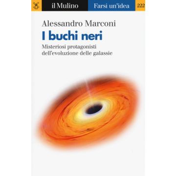 I buchi neri. Misteriosi protagonisti dell'evoluzione delle galassie