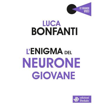 L'enigma del neurone giovane