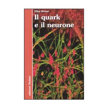 Il quark e il neurone