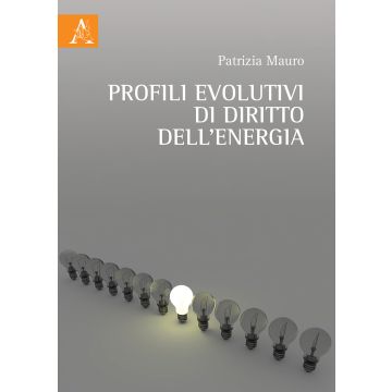 Profili evolutivi di diritto dell'energia